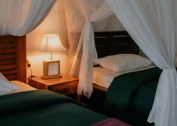 Hotel Puri Sunny , Munduk (Bali)