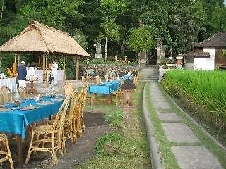 Hotel Puri Sunny , 2*
