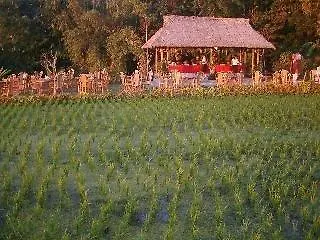 Hotel Puri Sunny , Munduk (Bali)