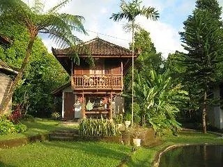 Puri Sunny , 2* Munduk (Bali)